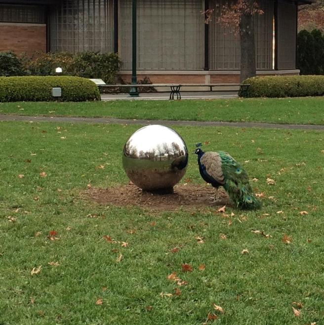 10411153_10204140528607118_1041610203507074435_n