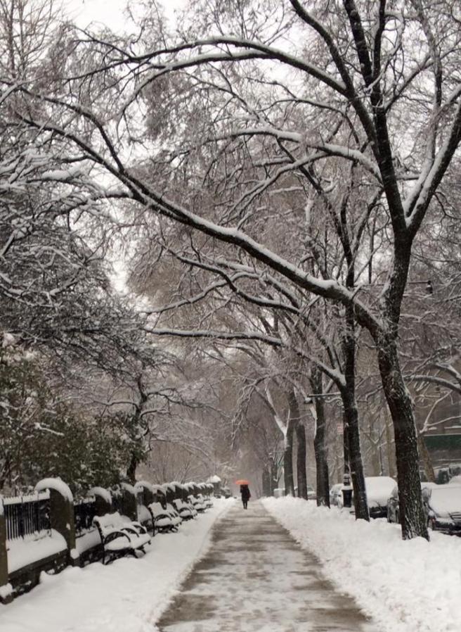 1794536_10204743606923699_788117297723886456_n