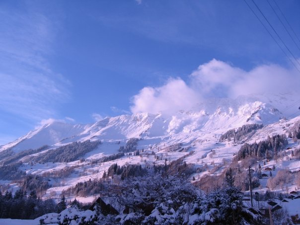 200461_1002805144065_1401_n