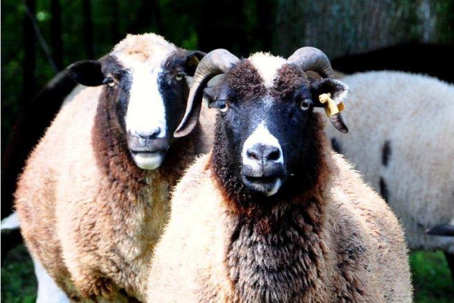 400864_4088029072735_514191907_n