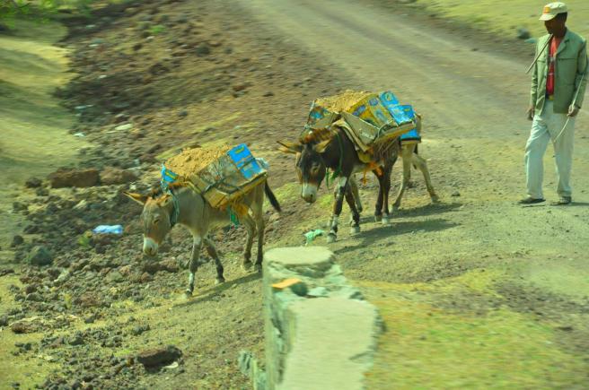 457332_3720633848084_622576183_o